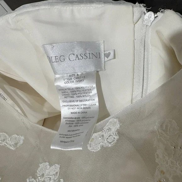 Ivory Lace A-Line Dress with Sheer Cap Sleeves - Picture 6 of 6